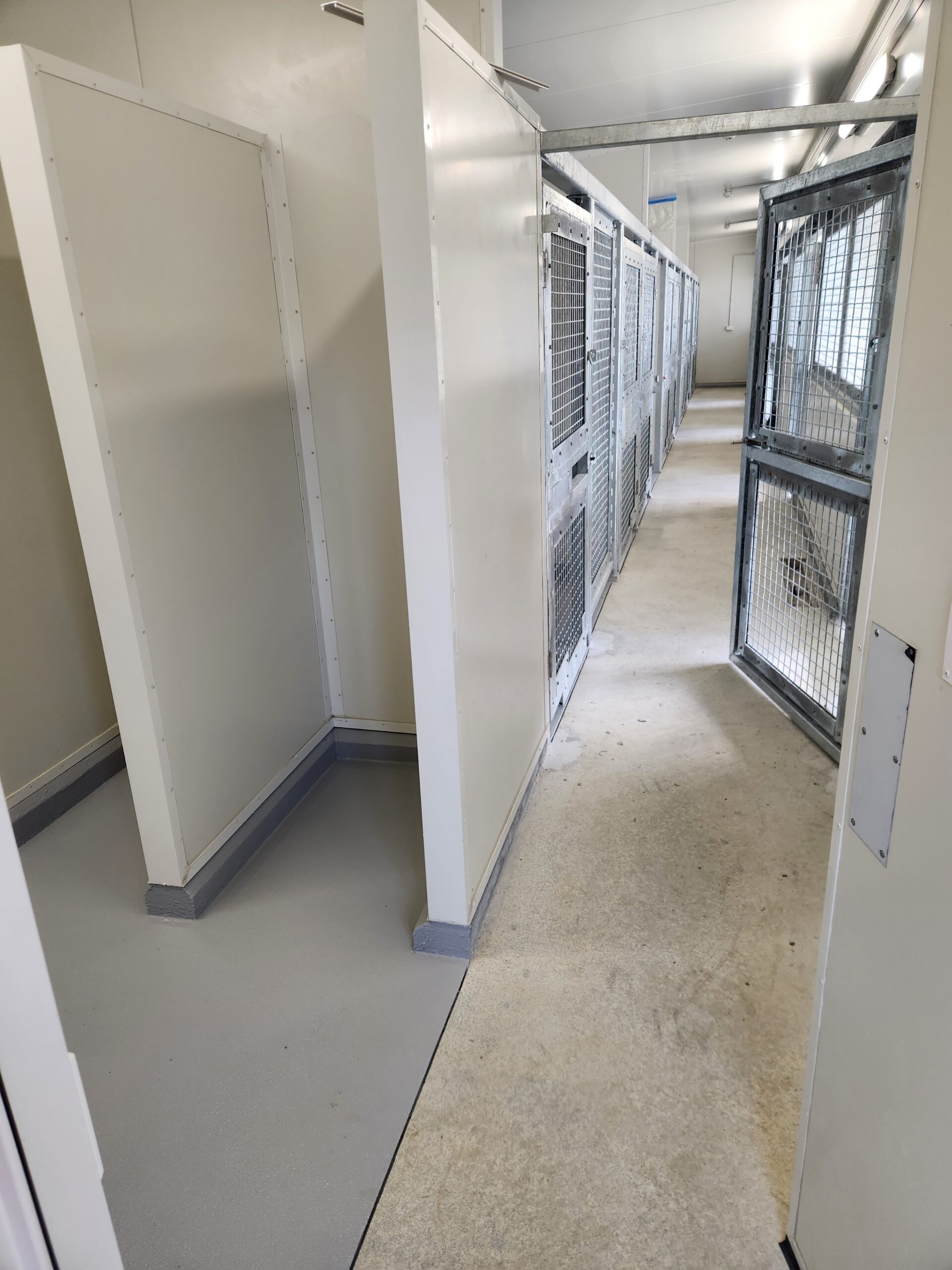 Polyurea protective coating applied to concrete surface at WDC Animal Shelter in Whangārei